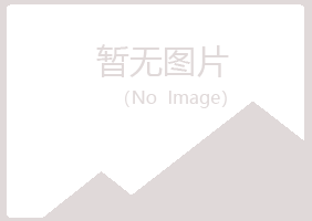 大同县岑迷化学有限公司